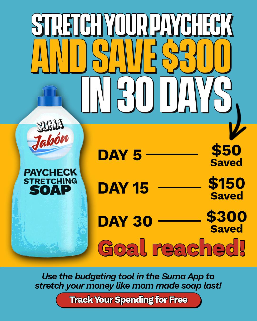 Paycheck Stretching Soap: stretch your money like mom made the jabón last.